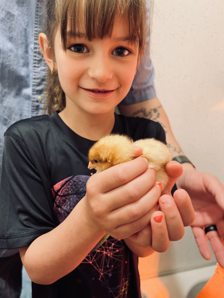 child holding baby chick
