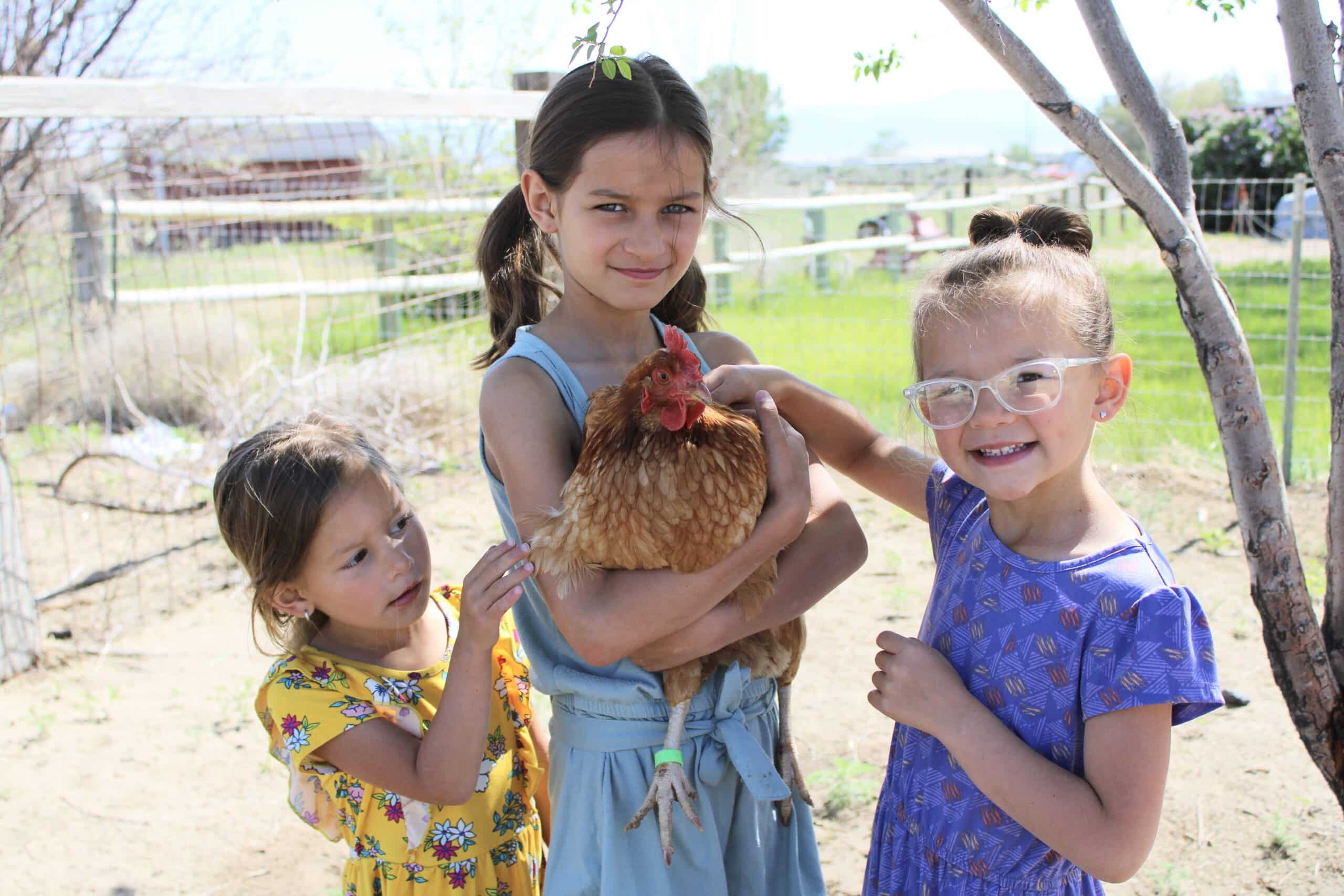 Morning Chicken Routine for Kids